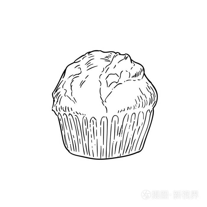 纸杯蛋糕黑白素描卡通涂鸦矢量插图