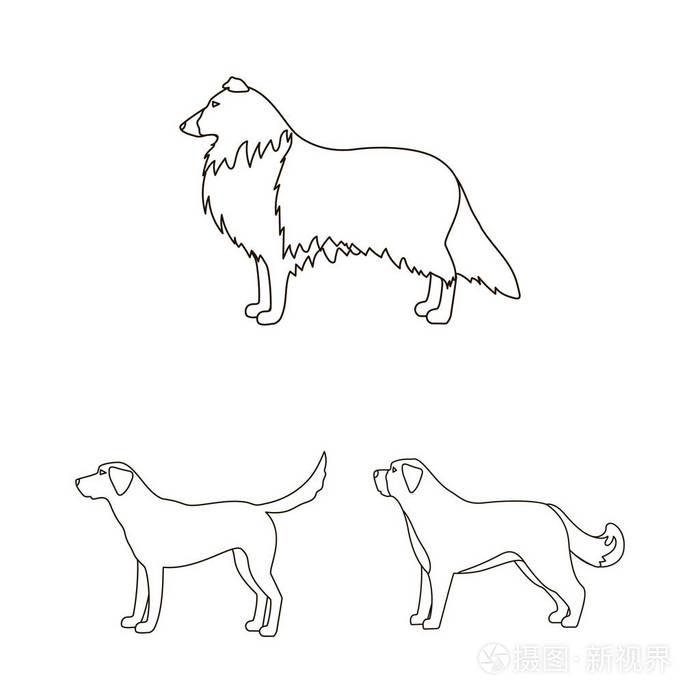 狗在集合中滋生轮廓图标以供设计.狗宠物矢量符号股票网页插图