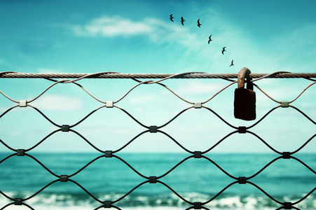 自由概念。图像围栏和旧生锈的锁和鸟类在地平线上飞行。一切皆有可能