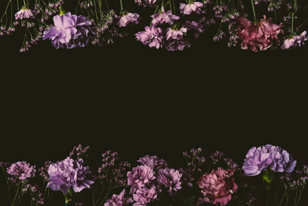 美丽的花框架由新鲜的粉红色和紫色的花朵孤立黑色