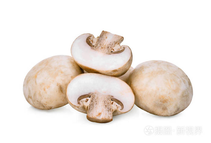 香菇在白色背景上孤立