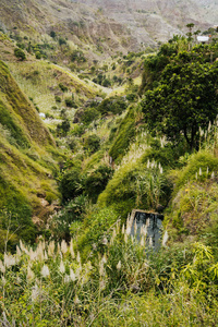 佛得角。植被和山的风景和保罗谷的一些地方住宅。种植甘蔗, 咖啡和芒果植物生长在丘陵。圣 Antao 岛