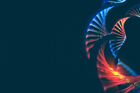 dna.3d 插图。解码基因组序列。Dna 分子结构的科学研究。螺旋分解。现代, 清洁设计高分辨率