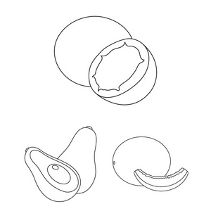 不同的水果轮廓图标集合中的设计。水果和维生素矢量符号股票 web 插图