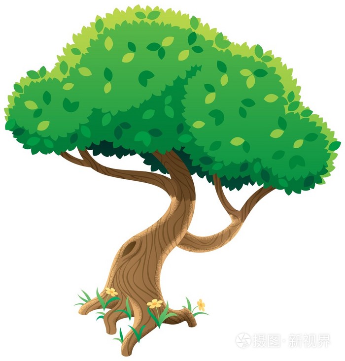 白树