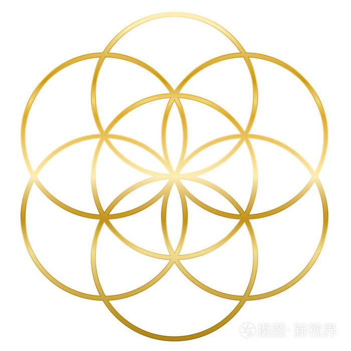 生命之花之金籽