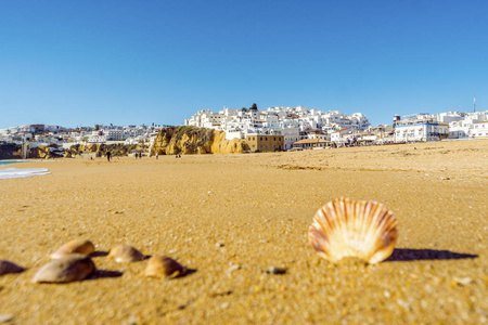 贝壳在宽, 沙滩在白色城市的阿尔加维, 阿尔加维