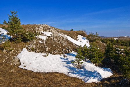 在雪中春山