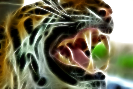 老虎的脸的精彩插图
