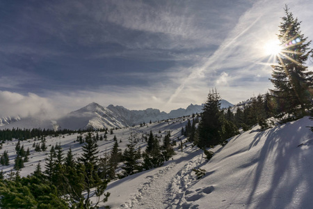 冬天风景在波兰人 Tatra 山