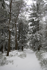 在波兰语山雪域景观