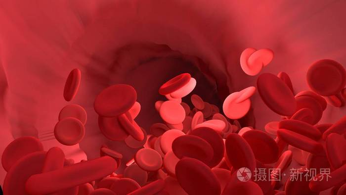 人体血管内的红细胞.科学图表为教育局