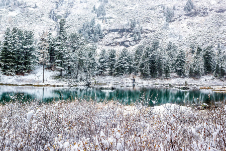 山之湖的绿松石表面。冬天神话般的森林湖。雪石和针叶树。水镜中的倒影