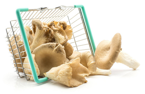 牡蛎蘑菇 平菇真菌 出了一个购物篮在白色背景裸 uncooke