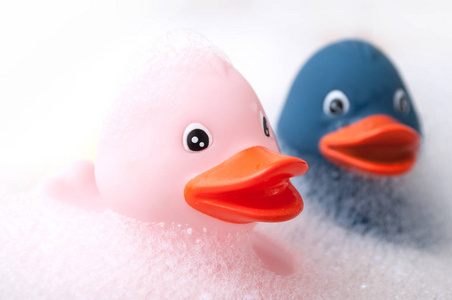 粉红色和蓝色橡胶鸭玩具与青苔在浴