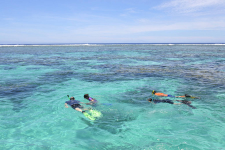 在拉罗通加库克群岛的游客浮潜