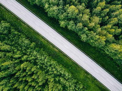 绿色夏日森林与道路的鸟瞰图