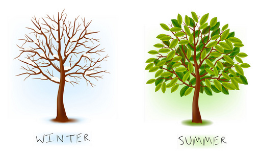 两个季节冬季 夏季。艺术树美丽为您的设计。矢量插画