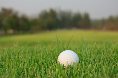 在绿色草地上的高尔夫球场球