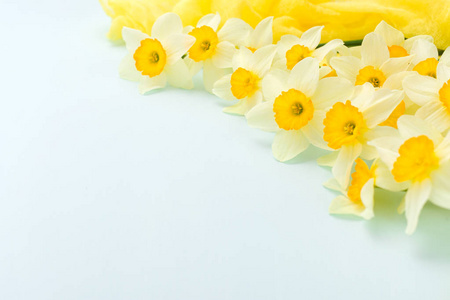 花与黄色纺织品装饰在蓝色粉彩背景与拷贝空间的水仙花春天花朵