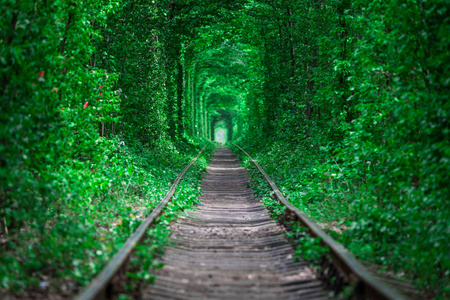 在爱的春天森林隧道的铁路图片