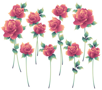 玫瑰花插图, 我做了一个美丽的玫瑰画, 我在媒介工作
