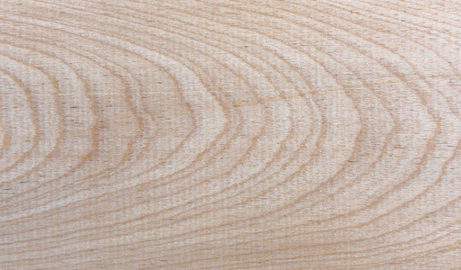 天然针叶林桦木纹纹理图案背景