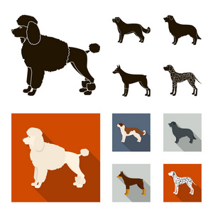 圣伯纳德, 猎犬, 猎犬, 拉布拉多。狗品种集合图标黑色, 平面式矢量符号股票插画网站