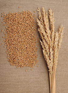 小麦在亚麻织物上的耳朵