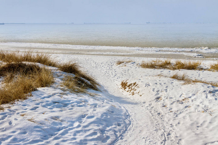 冬天在波罗的海岸