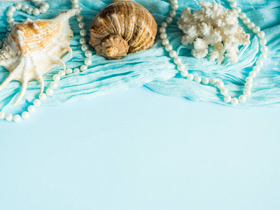 蓝色背景下各种类型的贝壳。在柔和的背景上的海贝壳和海星。度假理念