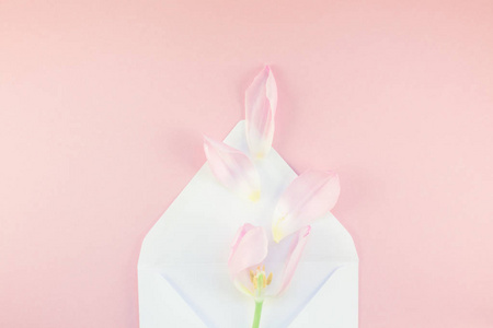 粉红色郁金香与花瓣在打开的纸信封