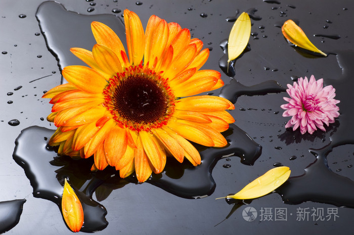 生命花件