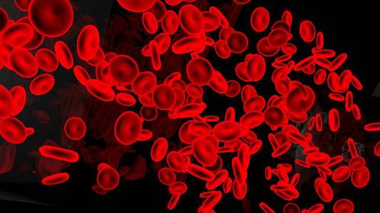 黑色背景下的红细胞分离科学教育