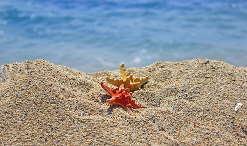 夏季海滩上