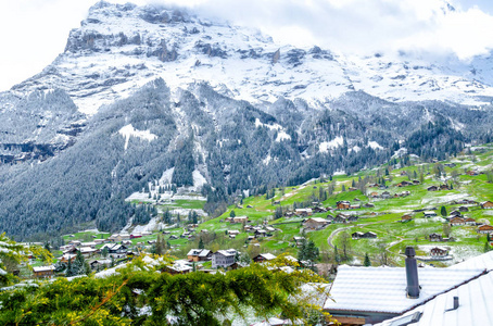 查看在瑞士 Eiger 山下的格林德沃村