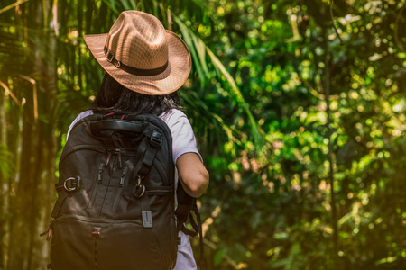 妇女游客与帽子和背包站在常青林。孤独的年轻女子旅行者享受旅游