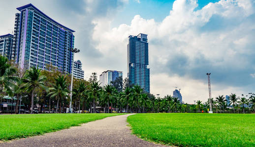 绿草场, 行人路和椰子树在城市公园旁边的海边。现代建筑背景