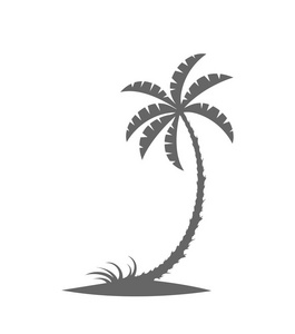 岛上棕榈树的剪影