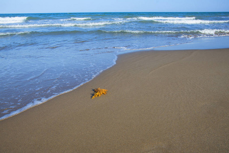 地中海的沙质海岸, 塔拉戈纳, 西班牙
