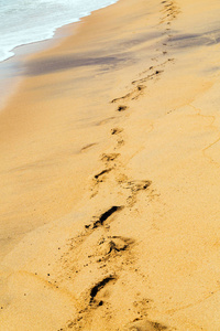沙丘沙滩路的脚印