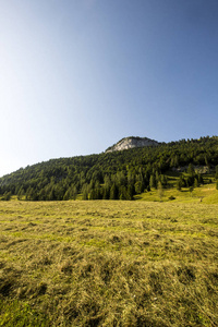 在奥地利阿尔卑斯山景观