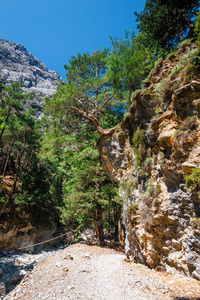 在克里特岛，希腊中部的萨马利亚峡谷