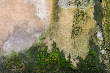 纹理背景从瓷砖墙壁与痕迹的水分的形式, 绿色真菌垂直痕迹和绿色苔藓。涂覆腻子覆盖水泥表面表面。肮脏的腻子和