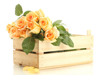 束美丽的玫瑰在木盒上白色隔离