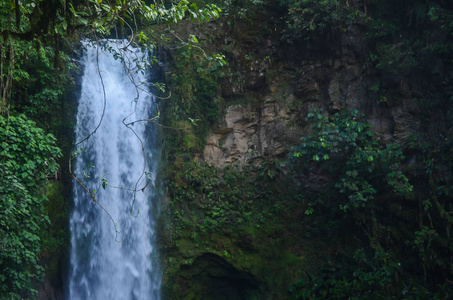哥斯达黎加瀑布