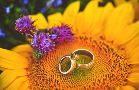 五颜六色的夏日花朵上的结婚戒指特写