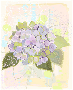 与 hydrangea.illustration 绣球花贺卡