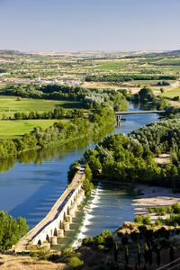 罗马桥 toro 萨莫拉省 卡斯提尔和莱昂，西班牙