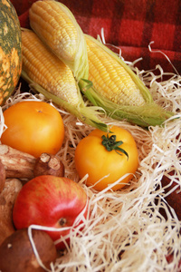 感恩节的秋季作文玉米, 苹果, 蘑菇和南瓜